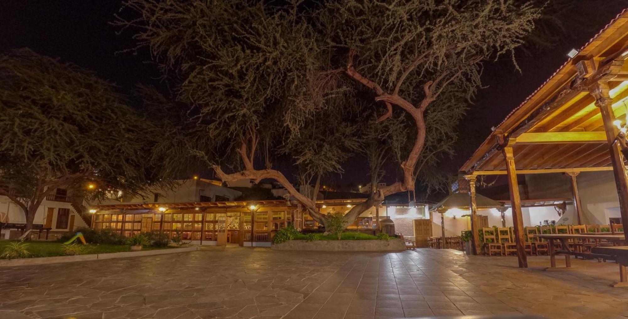 Hotel El Huarango Ica Zewnętrze zdjęcie